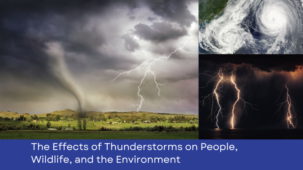effects of thunderstorms